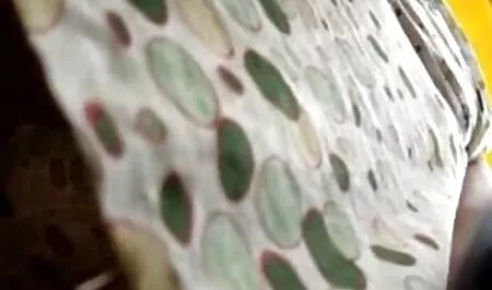 Szenvedélyes anális szex reggel orosz családi pornó tini POV (pov))
