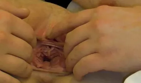 Busty ingyen családi sex szőke szexel egy rejtett kamera előtt.